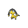 dragalge